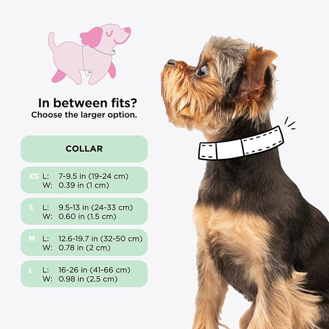 Sassy Woof Dog Collar Scooby-Doo™ - L, Adjustable, Durable, Comfortable and Stylish Pet Accessories for Large Dogs - Officially Licensed