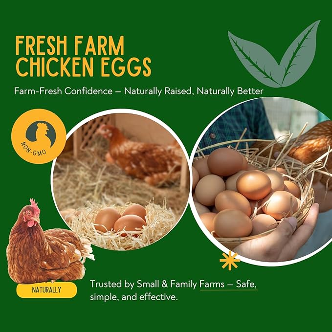 Natural Chicken Chili Mix De-Wormer Powder | 1LB | Promotes Balanced Digestive Wellness | Egg-Safe Chicken Wormer | Poultry Care for All Ages & Sizes