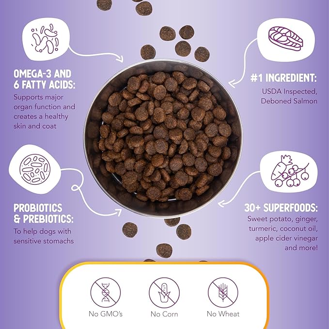 Health Extension Grain Free Salmon & Sweet Potato Dry Dog Food - 30+ Superfoods and Probiotics for All Life Stages (4 lb)