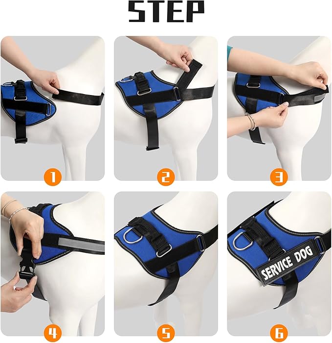 MUMUPET Service Dog Vest Harness, No Pull Reflective Adjustable with Handle, Soft Breathable Padding for Small Dogs, 2 Removable Velcro Patches (Blue, XS)