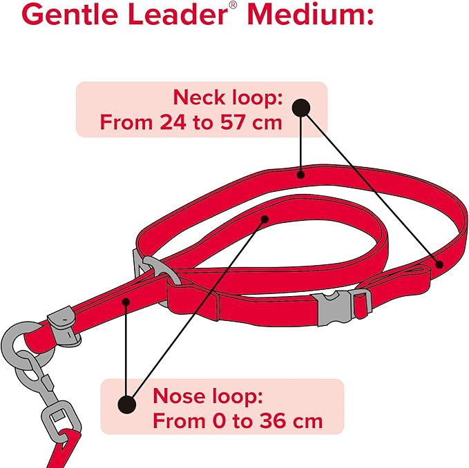 Beaphar | Gentle Leader | Head Collar for Medium Dogs | Stops Pulling On The Lead | Training Aid with Immediate Effect | Endorsed by Behaviourists | Red x 1