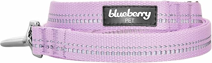 Blueberry Pet 3M Reflective Pastel Color Dog Leash with Soft & Comfortable Handle, 4 ft x 1", Lavender, Large, Leashes for Dogs