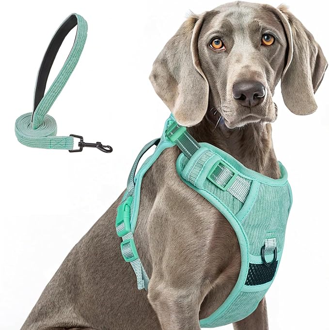BEAUTYZOO No Pull Dog Harness, Adjustable Dog Harness and Leash Set -Easy Wearing with 3 Buckles/Control Handle,No Choke Soft Padded Reflective Pet Vest for Training Walking Hiking,Solid Aqua Blue XL