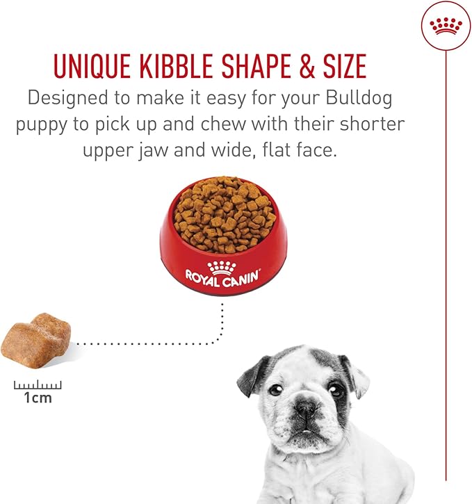 Royal Canin Breed Health Nutrition Bulldog Puppy Dry Dog Food, 6 lb Bag