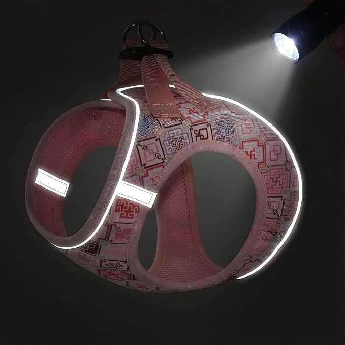 Mihqy Step in Dog Harness and Leash Set, Reflective Adjustable No Pull Dog Harness for Extra-Small/Small Dogs Puppy and Cats, Soft Padded Mesh Vest Harnesses for Girl and Boy Pets(Pink Grid,XS)