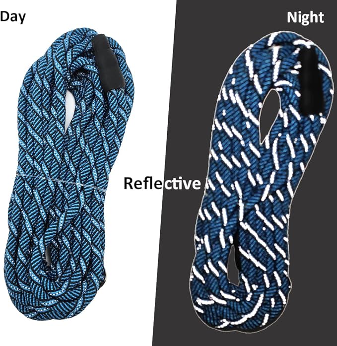 12FT Long Slip Lead Leash, 20ft 30ft 50ft Reflective Rope Training Lead Anti-Choking for Medium Dogs Small Puppy Pets Behavior Active Playing (Blue)