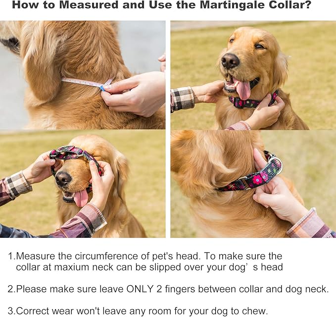 Martingale Collar Floral Print Dog Collar - No Pull Pet Collar, Heavy Duty for Medium Dogs, Adjustable Neck 14 Inch to 21 Inch, Sun Flower (Black)