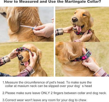 Martingale Collar Floral Print Dog Collar - No Pull Pet Collar, Heavy Duty for Medium Dogs, Adjustable Neck 14 Inch to 21 Inch, Sun Flower (Black)