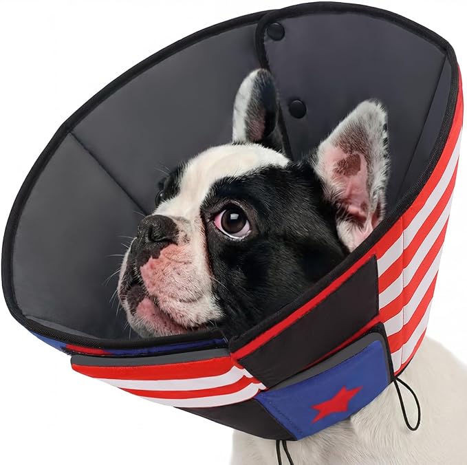 Queenmore Dog Cone, Cone for Dogs to Stop Licking, Dog Cones for Medium Dogs, Adjustable Doggy Recovery Collars & Cones, Elizabethan Collar for Pets After Surgery, USAFlag M