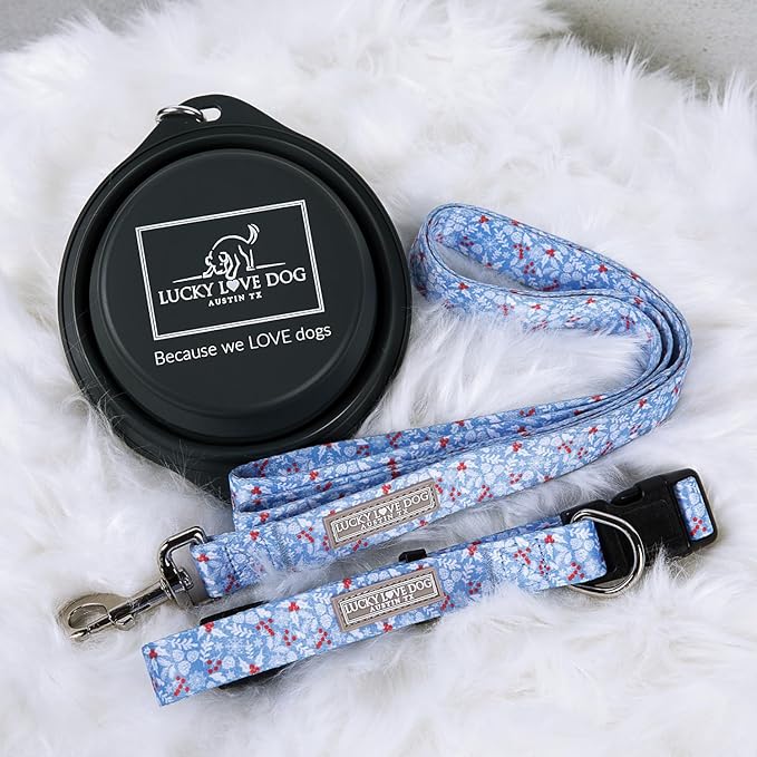 Lucky Love Dog Martingale Dog Collar - Adjustable, No-Slip, Durable, & Soft Webbing Collar for Male and Female Dogs Ideal for Training & Walking - Winterblue, Small