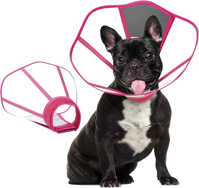 Clear Dog Cone, Elizabethan Collar for Dogs to Stop Licking, Plastic Pet E-Collar Alternative After Surgery, Adjustable Dog Recovery Cone for Wound Healing