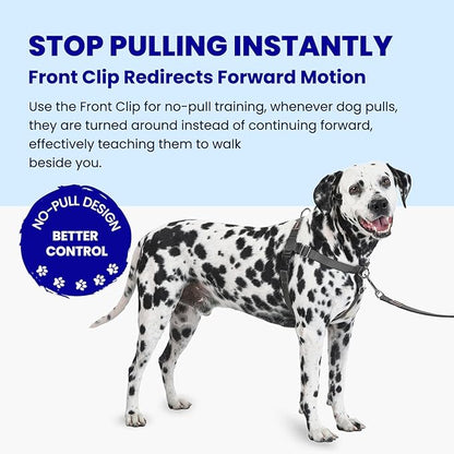 No Pull Dog Harness Freedom Walking, Easy Walk with Front and Back Stainless D-Rings, Sewn-in Instructions Tags for Easy Use, for Medium/Large Dogs Weight 40-60 lbs (Black, Med/Large)