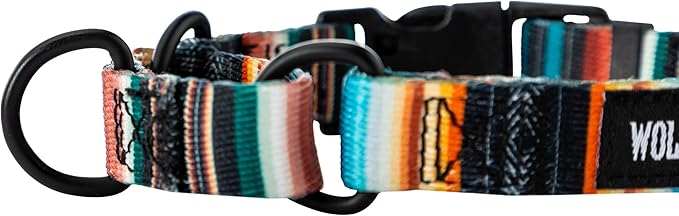 Wolfgang Heavy Duty Martingale Dog Collar with Quick Release Nylon Buckle for Walking & Training, LostArt Print, Small