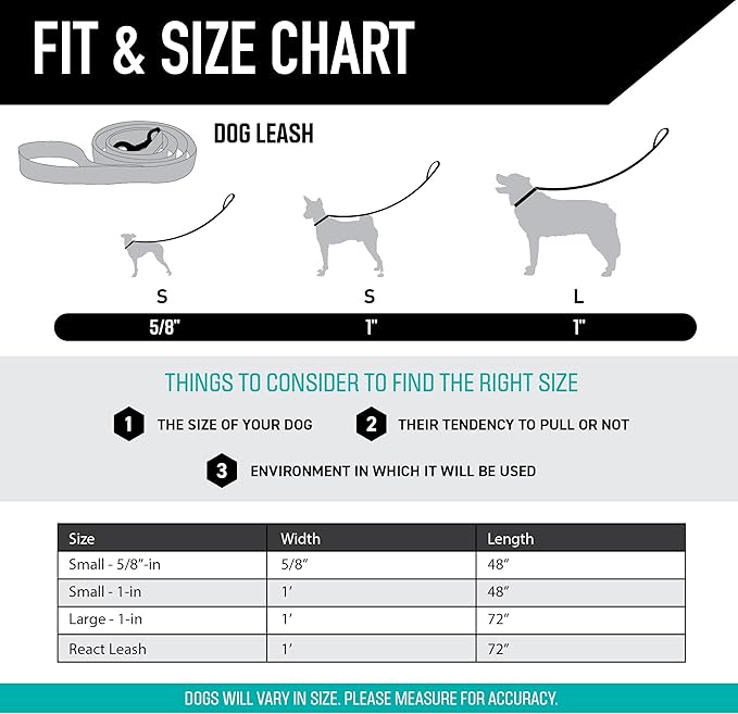 Wolfgang Heavy Duty Dog Leash, Pull-Tested for Walking & Training, LazyDaisy Print, Small