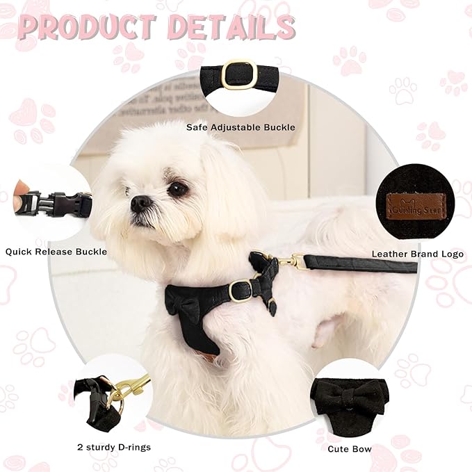 Guiding Star Dog Harness Small Sized Dog with Multifunction Leash, No Pull Puppy Dog Harness and Leash Set Training, Cute Soft Adjustable Dog Walking Harness Pet Vest Harness (Black-XS)