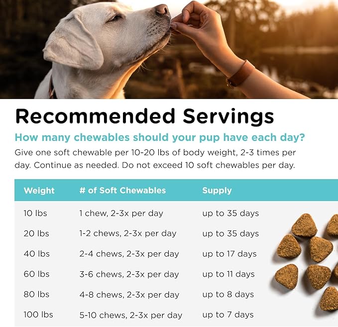 Nutri-Vet Pet-Ease Soft Chews for Dogs, Vet Formulated with Chamomile & Tryptophan to Soothe and Calm During Storms, Separation Anxiety, and Loud Noises, Dog Calming Supplement, 6.0 oz