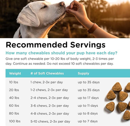 Nutri-Vet Pet-Ease Soft Chews for Dogs, Vet Formulated with Chamomile & Tryptophan to Soothe and Calm During Storms, Separation Anxiety, and Loud Noises, Dog Calming Supplement, 6.0 oz
