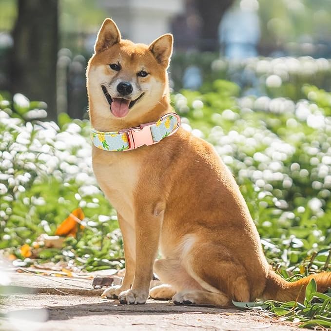 Dog Collar and Leash Set Girls Adjustable Puppy Collars with Fruit Bow Tie for Small Medium Large Female Dogs, Pineapple, XS