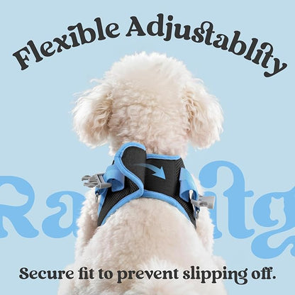 rabbitgoo Dog Harness Small Sized and Leash Set, Step-in Breathable Pet Harness, Soft Walking Reflective Puppy Vest for Small Dogs, Black & Light Blue, L