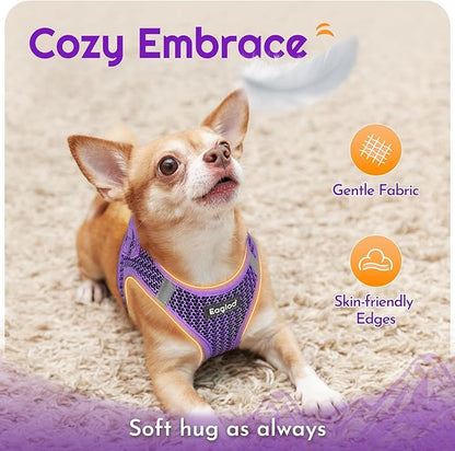Eagloo Small Dog Harness and Leash Set, Step in Puppy Vest with Breathable Soft Mesh, Walking Reflective Pet Harness for Small Dogs, Purple, L
