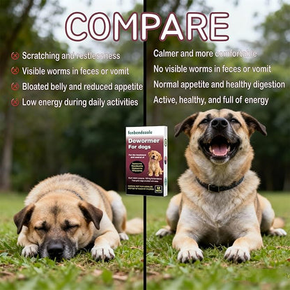 Dewormer for Dogs, Fenbendazole for All Wormers, Hookworms, Tapeworms, Whipworms and Roundworms, 12 Count