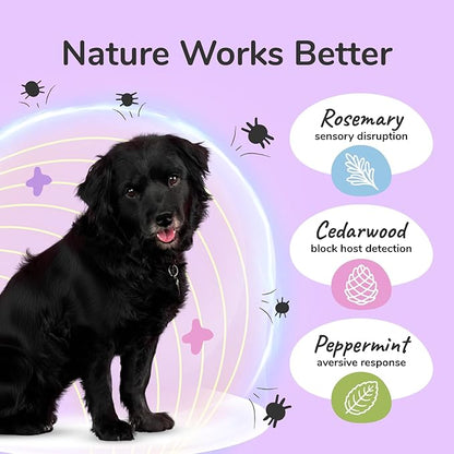 kin+kind Flea and Tick Prevention for Dogs – Plant Based Flea Spray with Rosemary, Lemongrass & Cedarwood Oil – Pet Supplies for Bugs and Pests – Flea & Tick Pet Spray Prevention - Lavender 32 fl oz