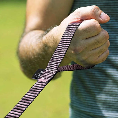 Hi Kiss Dog/Puppy Obedience Recall Training Agility Lead - 15ft 20ft 30ft 50ft 100ft Training Leash - Great for Training, Play, Camping, or Backyard(20ft,BL+PK)