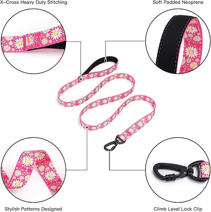 Pink Martingale Dog Collar and Leash Set for Female Dogs, Cute Daisy Pattern Girl Dog Collar, Adjustable Soft Durable Pet Collar with 5ft Matching Leash for Small Medium Large Dogs