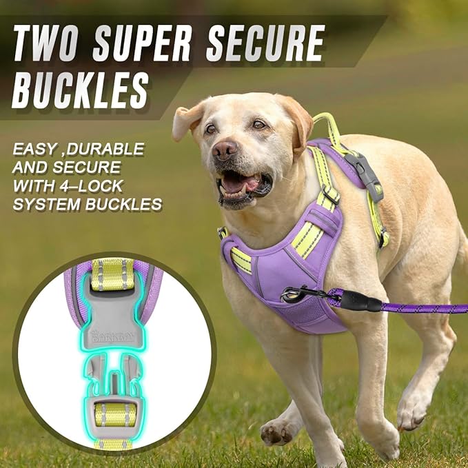 BARKBAY No Pull Dog Harness Front Clip Heavy Duty Reflective Easy Control Handle for Large Dog Walking(Violet Purple & Sunlight,L)
