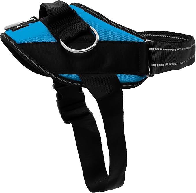 ShawnCo Essential Dog Harness, No-Pull Pet Vest with 3 Leash Clips, No Choke, Reflective, Adjustable and Padded, for Easy Walking and Training for Small, Medium and Large Dogs (Oceanic Blue, XL)