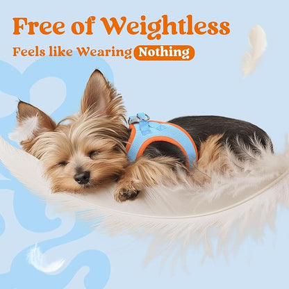 rabbitgoo Small Dog Harness, Step-in Soft Mesh Puppy Vest with Safety Buckle, Breathable Reflective Pet Harness for Extra Small Dogs, Blue & Orange XXS
