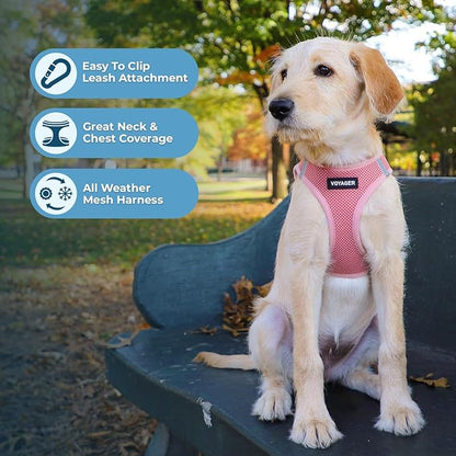 Best Pet Supplies Voyager Step-in Air All Weather Mesh Harness and Reflective Dog 5ft Leash Combo with Neoprene Handle, for Small, Medium and Large Breed Puppies - Set (Pink), XXX-Small
