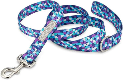 Lucky Love Dog Martingale Dog Collar & Leash - Adjustable, No-Slip, Durable, Comfortable, Soft Webbing, & Stylish Patterned Collar & Leash Set for Male and Female Dogs - Jasper Combo, Small