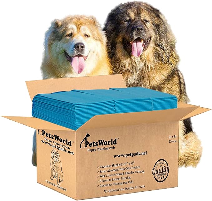 PetsWorld Enormous Dog Pee Pads 37"x54" 25 Count – XXXL Pet Pee Pads for Giant Dogs & Pets, Heavy Duty Leak-Proof Dog Training Pads, Super Absorbent Quick-Dry Potty Pads with Adhesive Tabs