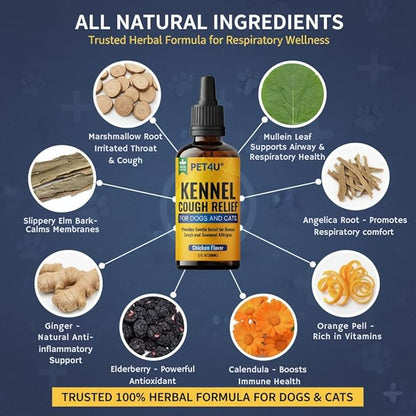 Kennel Cough Relief for Dogs & Cats - Natural Herbal Drops for Persistent Cough, Throat Irritation & Seasonal Allergies - Respiratory & Immune Support - Chicken Flavor