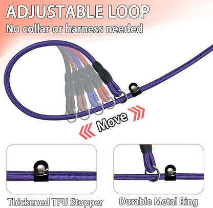 FOVRLZSE Nylon Dog Leash 5-Pack (Red/Black/Blue/Brown/Purple), 4.6FT Training Leash for Small to Medium Dogs, 10mm Braided Nylon with TPU Non-Slip Buckle, Daily Walking & Puppy Training