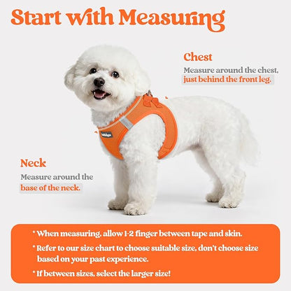 rabbitgoo Dog Harness Small Sized and Leash Set, Step in Soft Light Puppy Vest, Breathable Mesh Pet Harness, Reflective for Safe Easy Walking, Orange S