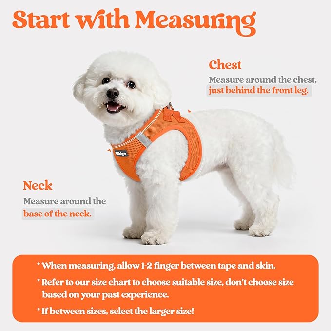 rabbitgoo Dog Harness Small Sized and Leash Set, Step in Soft Light Puppy Vest, Breathable Mesh Pet Harness, Reflective for Safe Easy Walking, Orange XXS