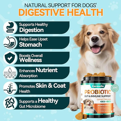 Probiotics for Dogs, Dog Probiotics for Yeast, Itchy Skin and Itchy Ears, Allergies, Immunity, Dog Gut Health Probiotic for Digestive Enzymes & Prebiotics for Diarrhea & Gas Relief (Chicken, 200 Chew)