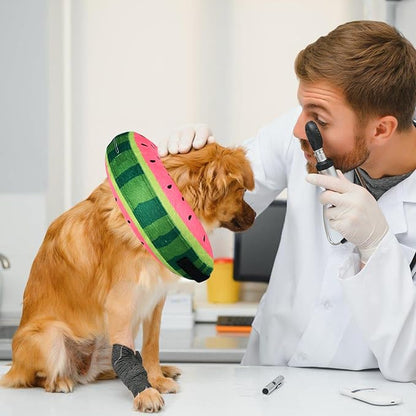 Katoggy Inflatable Dog Cone Collar for After Surgery, Soft Adjustable Blow up Donut E-Collar for Small Medium Large Dog and Cats