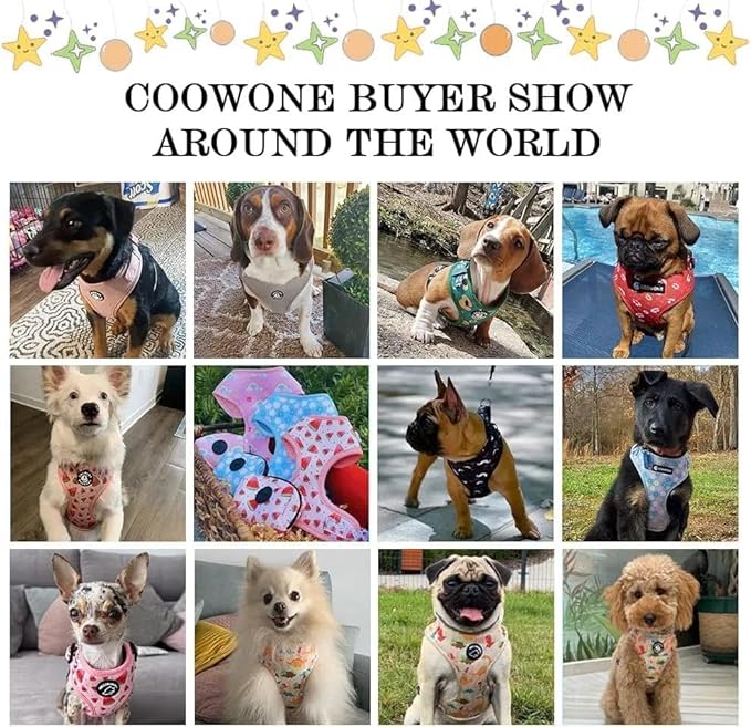 Coowone Dog Harness and Leash Set, Adjustable Puppy Harness and Soft Padded Dog Vest Clothes for Small Medium Large Dogs