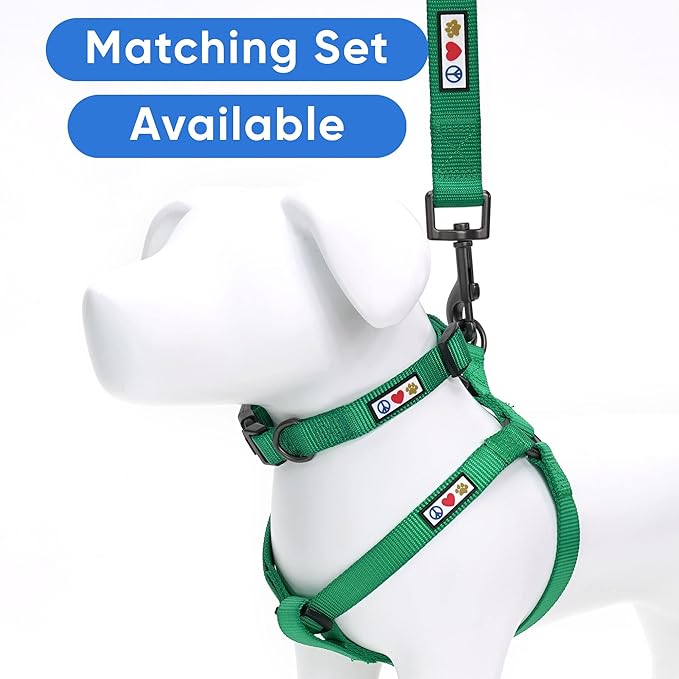Pawtitas Solid 6 ft Lush Green Dog Leash M/L Custom Name and Phone Embroidery Strong Nylon Leash for Medium and Large Breeds