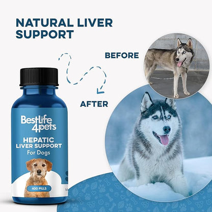 Dog Liver Supplement Detox Formula – Gentle Hepatic Liver Support for Dogs with Vomiting Or Stomach Upset – with Natural Milk Thistle for Dogs – Tiny Odorless Pills for Stress-Free Dosing – 400 Count