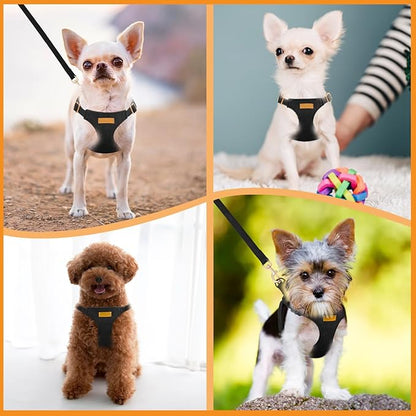 SlowTon Dog Harness Small Sized Dog - Soft XXS Dog Harness and Leash Set No Pull No Chock, Adjustable Lightweight Puppy Harness for XS Small Medium Dogs Cats (Solid Black, XS)