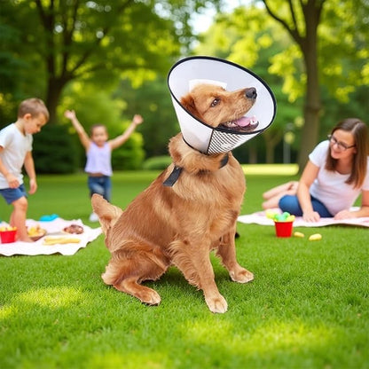 Dog Cone After Surgery, Adjustable Pet Recovery Collar for Dogs and Cats, Plastic Elizabethan Neck E-Collar Stop Licking Wounds (XXL)