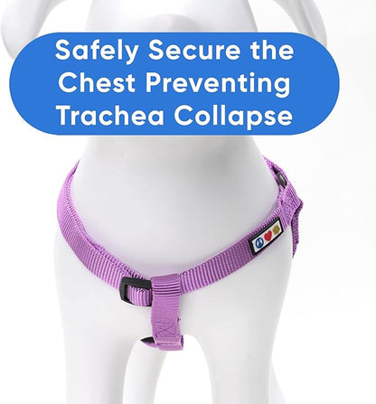 Pawtitas Solid Step-in Dog Harness – Adjustable No-Pull Vest for Puppies to Seniors, Safe & Comfortable XS Orchid