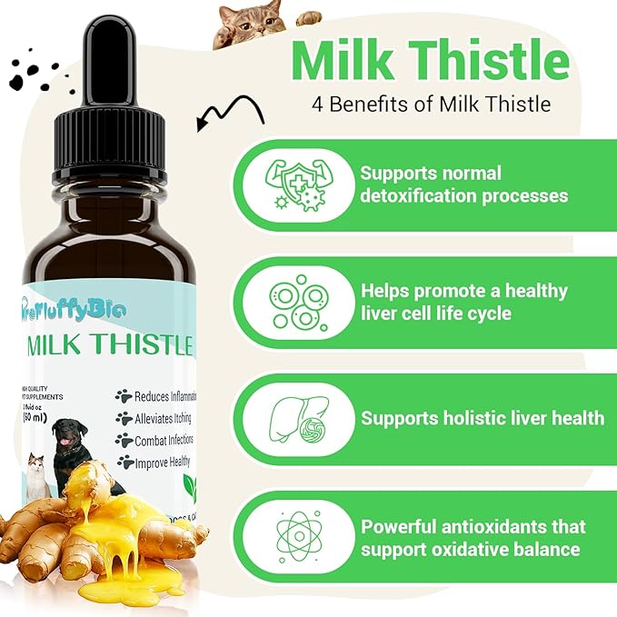 Milk Thistle for Dogs - Liver & Kidney Support, Natural Detox & Hepatic Health, with Wild Alaskan Salmon Oil & Curcumin, Omega 3 and Silymarins - Veterinarian-Formulated Herbal Supplement 2 Oz