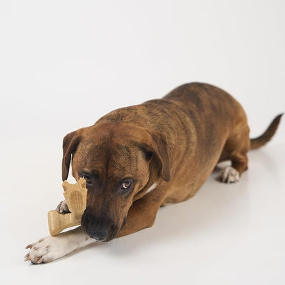 SPOT Bam-Bones Plus T-Bone Dog Chew Toy, Bamboo Fiber & Nylon, Chicken Flavor, Durable Non-Splintering Chew for Moderate to Aggressive Chewers, Dogs 30-60 lbs, 6 Inch
