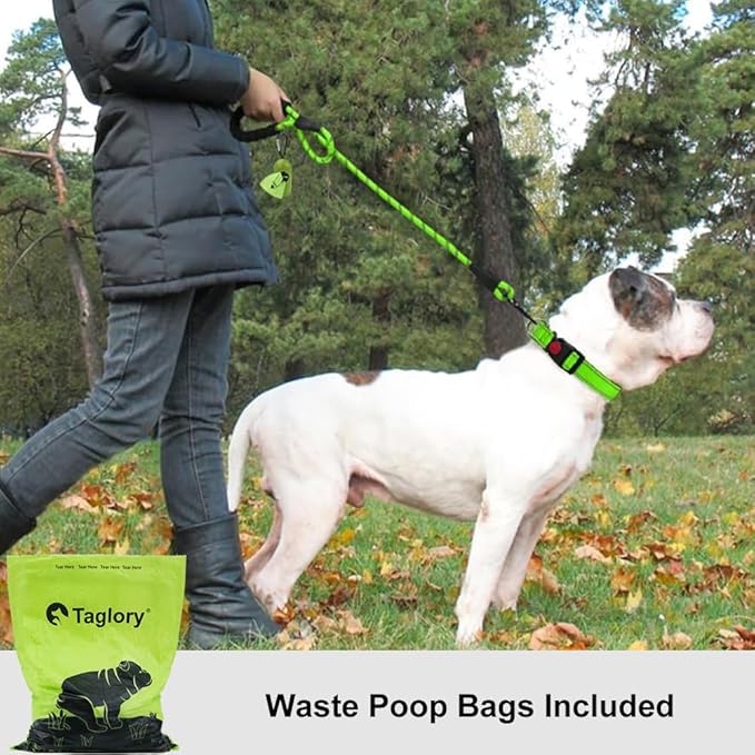 Taglory Rope Dog Leash 4 FT with Comfortable Padded Handle, Highly Reflective Threads Leash and Anti-Tangle Clip for Walking Medium Large Dogs, 1/2 inch, Green