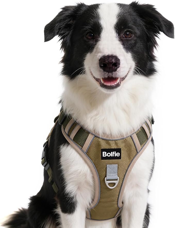 Tactical Dog Harness for Medium Dogs,No Pull Military Dog Vest with Handle,Reflective Heavy Duty Pet Harness for Walking Hiking Training M